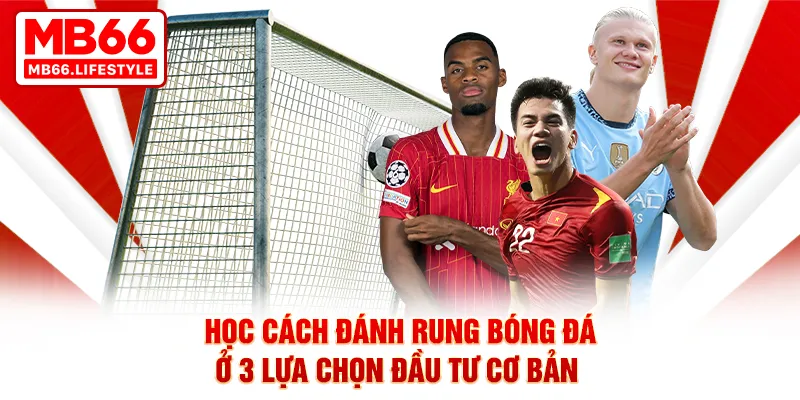 Học cách đánh rung bóng đá ở 3 lựa chọn đầu tư cơ bản 